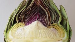 artichoke heart