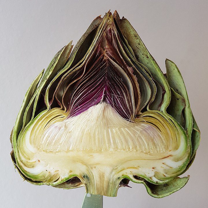 artichoke heart