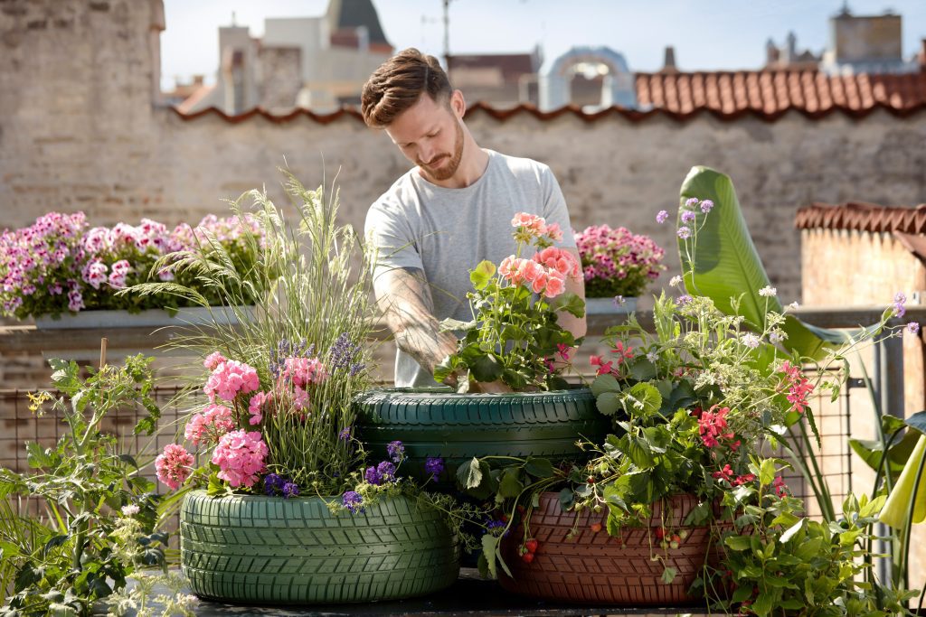 National Plant a Flower Day