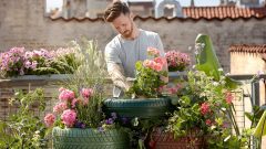 National Plant a Flower Day