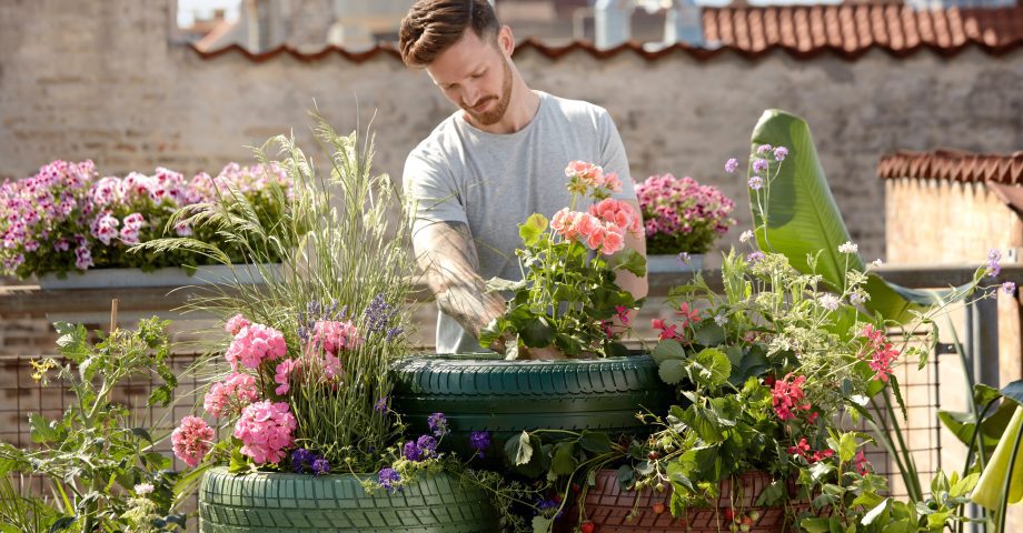 National Plant a Flower Day