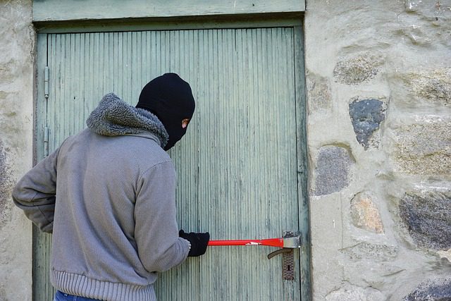 Pet theft awareness day