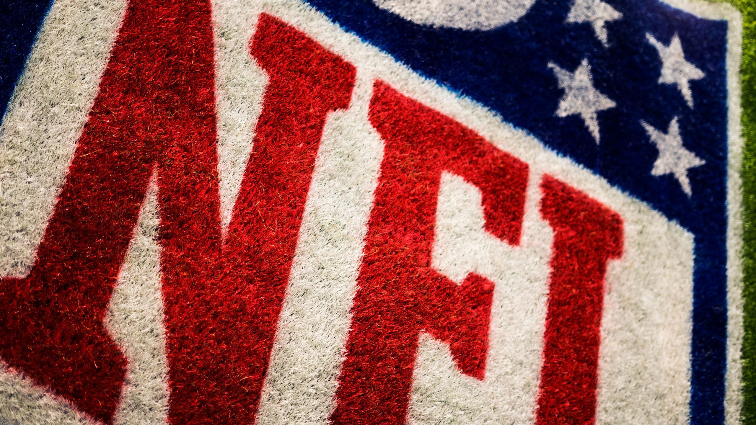 10 Nifty Facts about The NFL