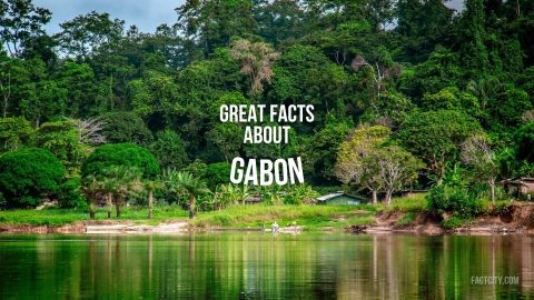 facts about gabon