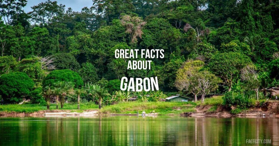 facts about gabon