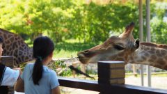 National Zoo Lovers Day