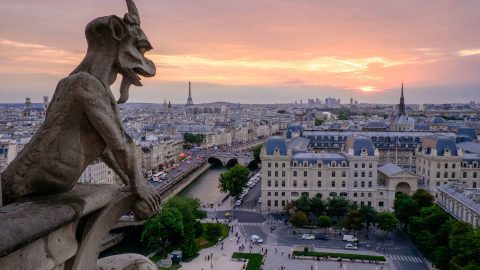 Notre Dame gargoyle