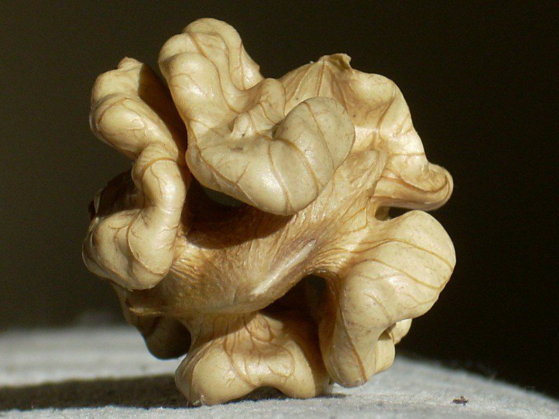 raw walnut