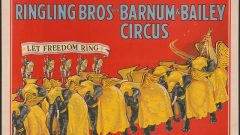 Barnum & Bailey Circus