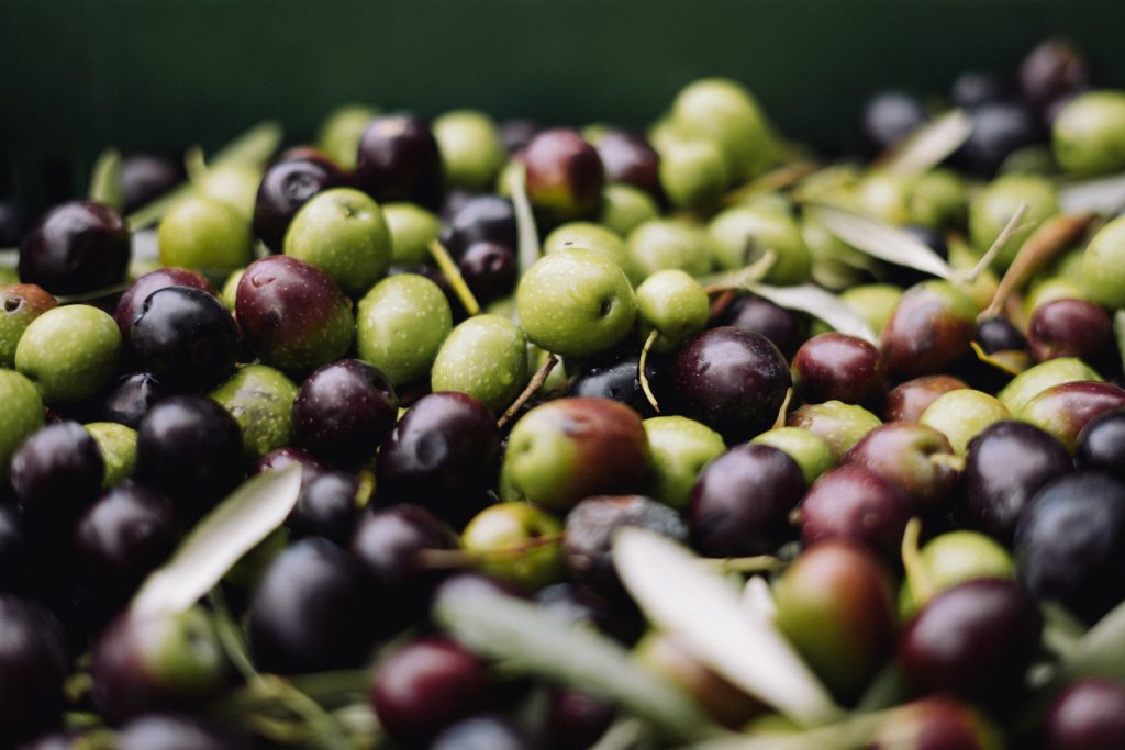 National Olive Day - 1st June