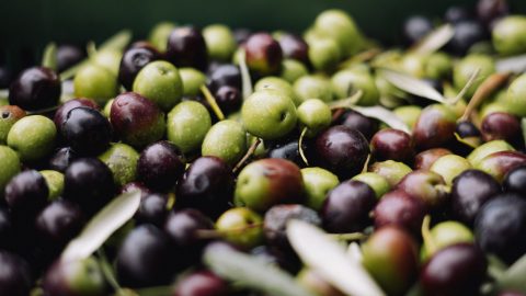 National Olive Day - 1st June