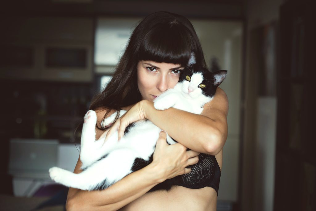 Cat hug