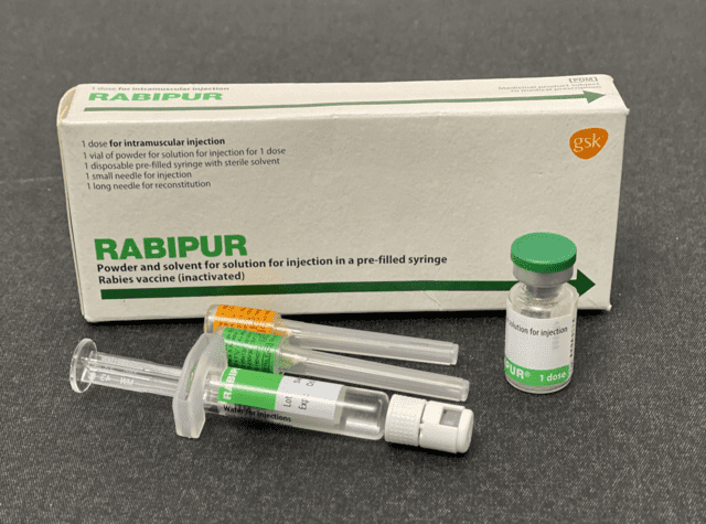 Anti-rabies
