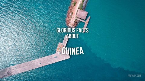 Guinea
