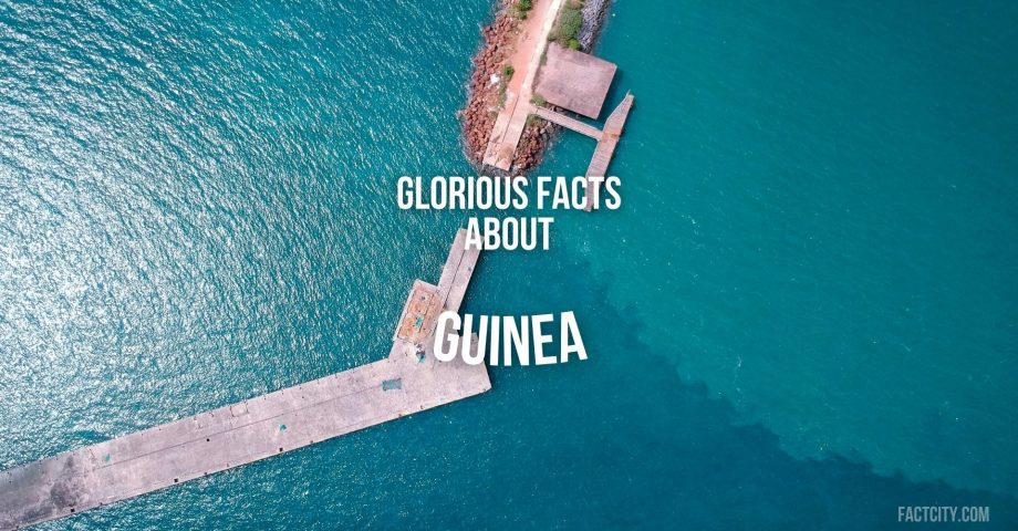 Guinea