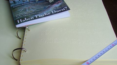 Braille book