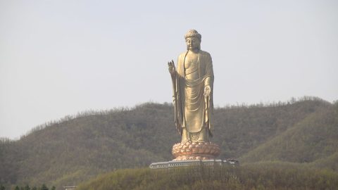 Spring Temple Buddha