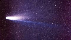 Halley's Comet