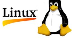 Linux