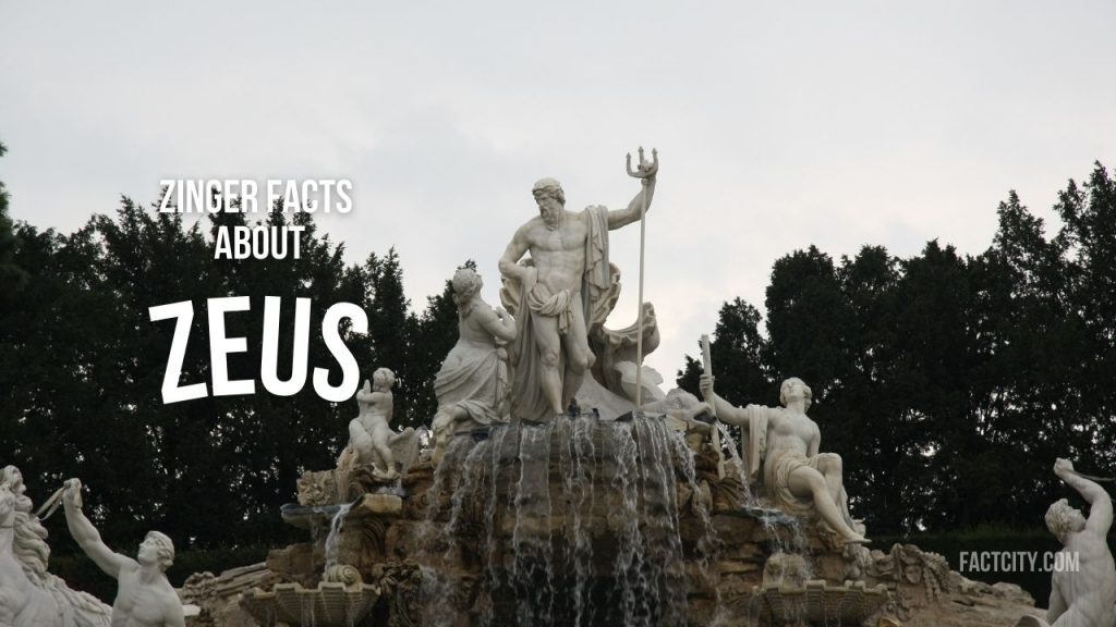 Zeus header