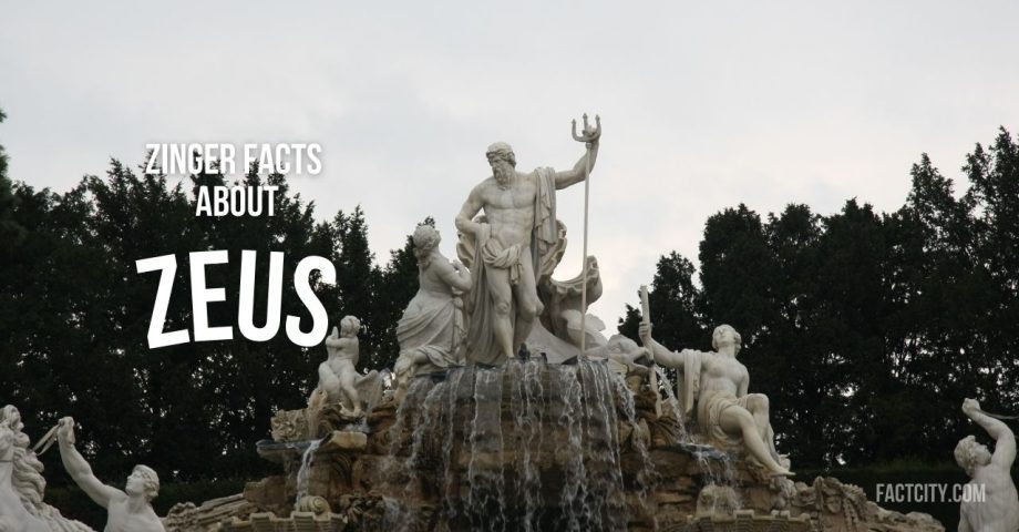 Zeus header