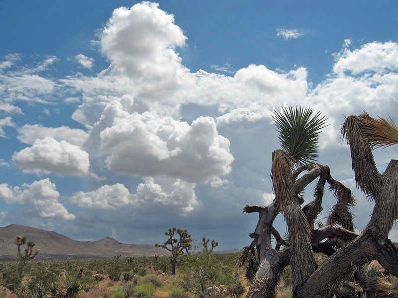 Cumulonimbus clouds