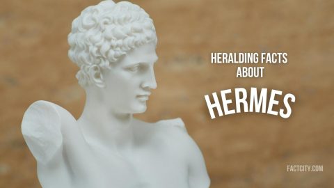 Hermes header