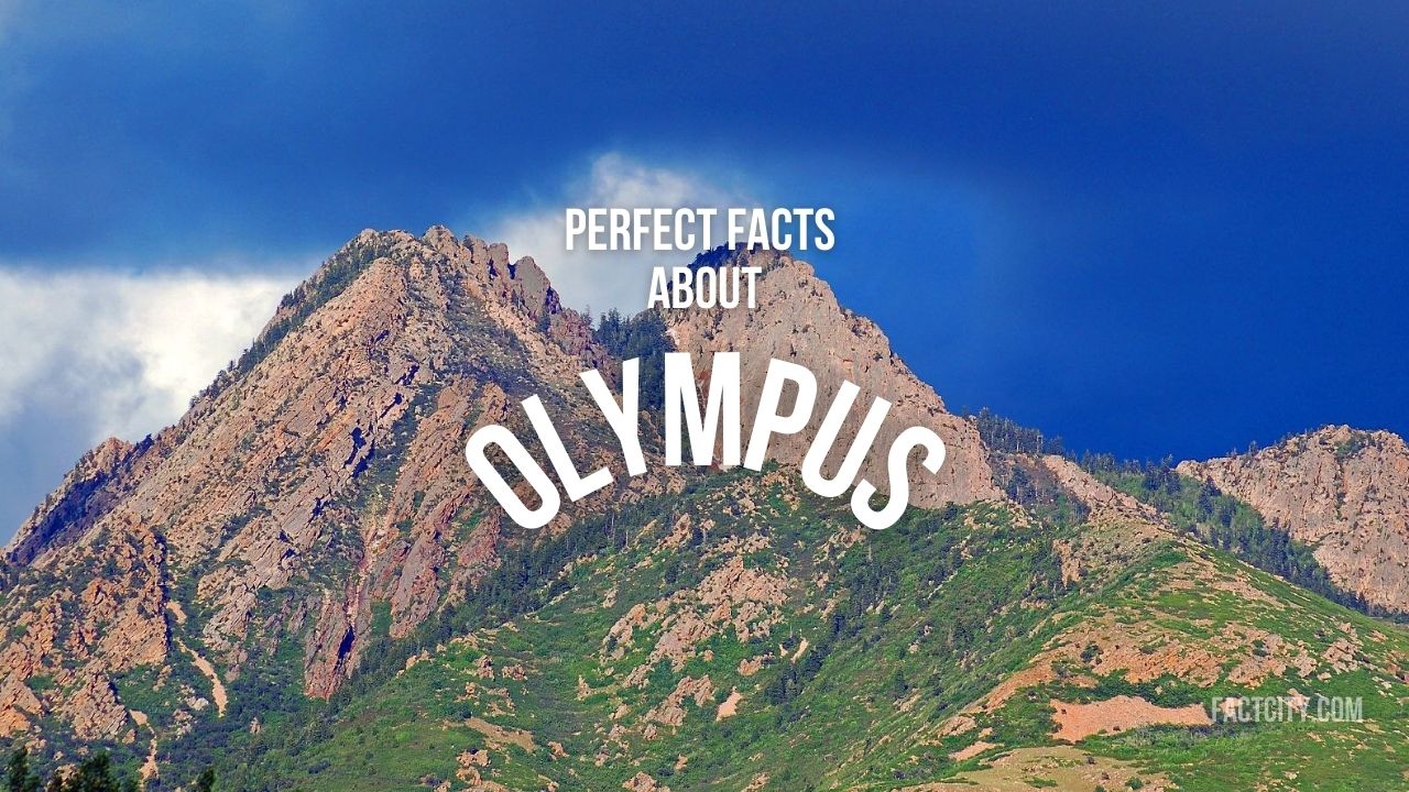 10 Omniscient Facts about Olympus