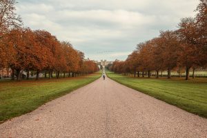 Windsor Great Park