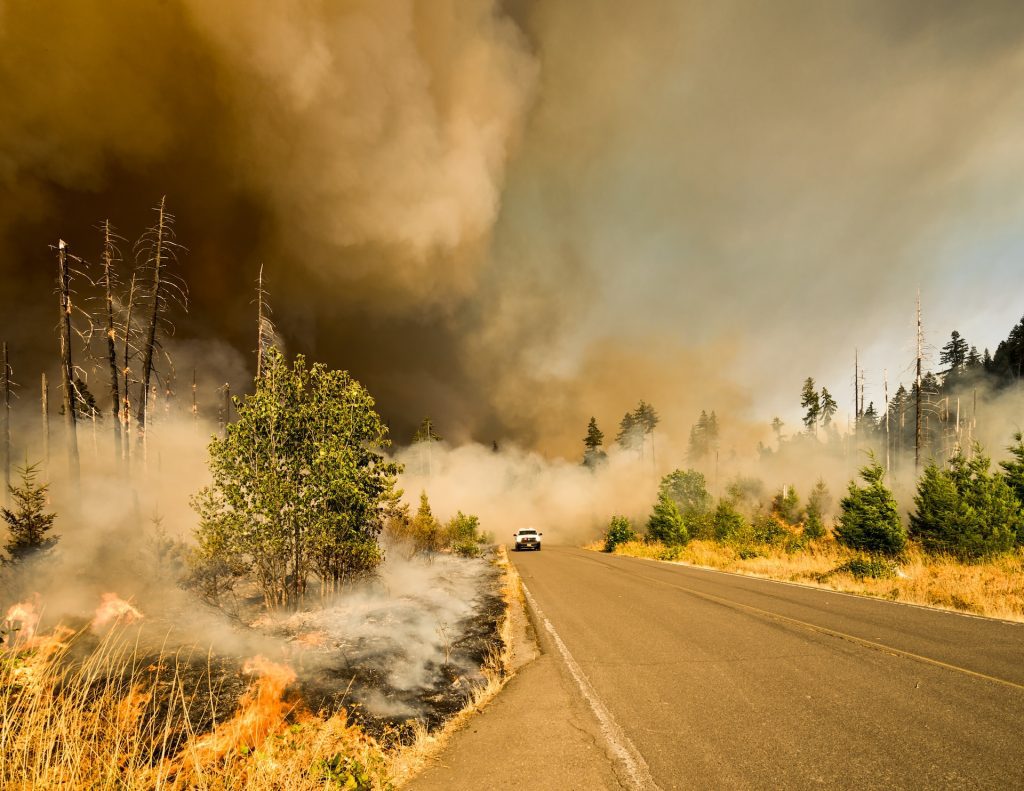 Australian wildfires