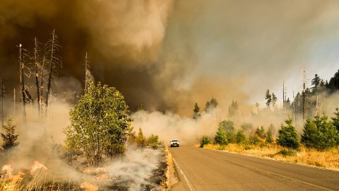 Australian wildfires