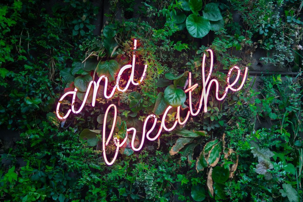 Internet Self-Care Day