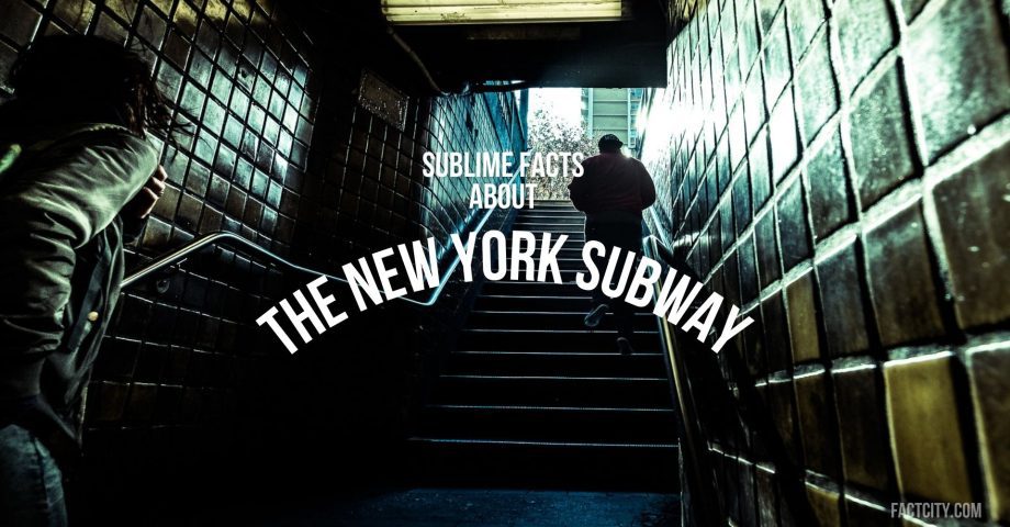 The New York Subway header