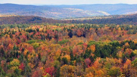 Vermont, USA