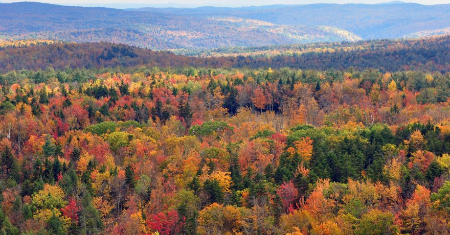 Vermont, USA