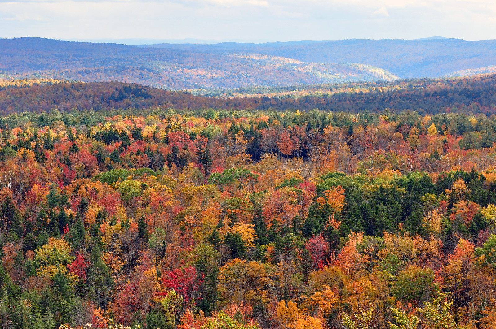 10 Verifiable Facts About Vermont