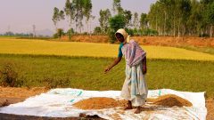 Rural Woman in India