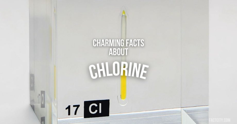 chlorine header