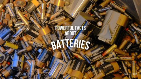 batteries header