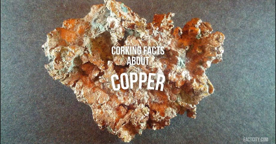 Copper header