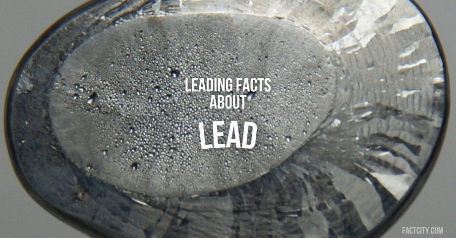 lead header