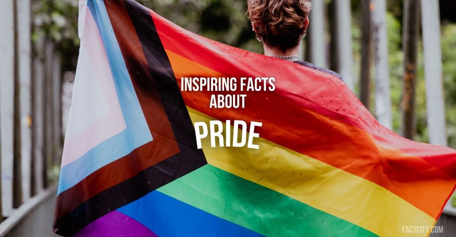 pride header