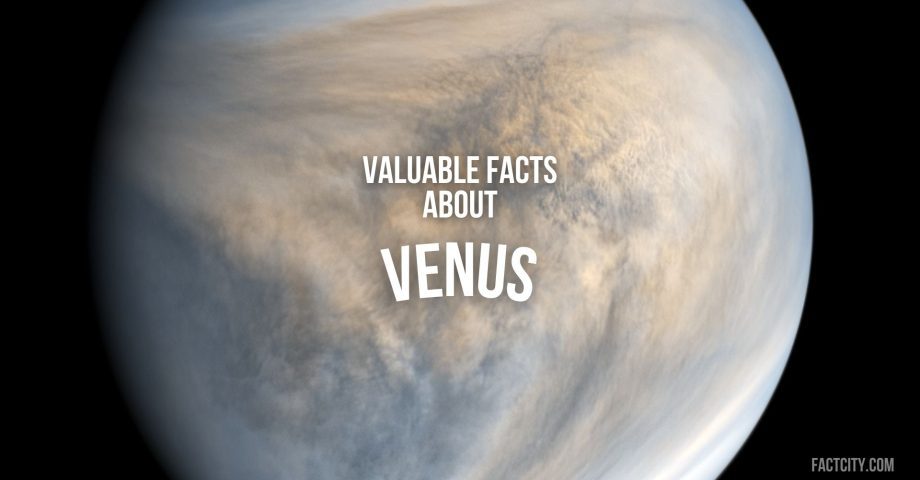 venus header