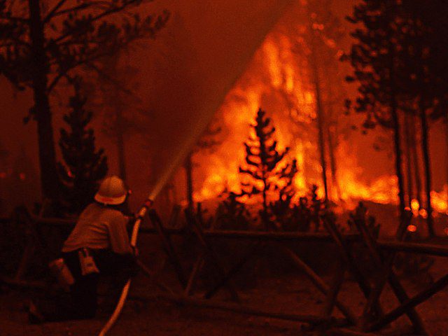 yellowstone fire in 1988