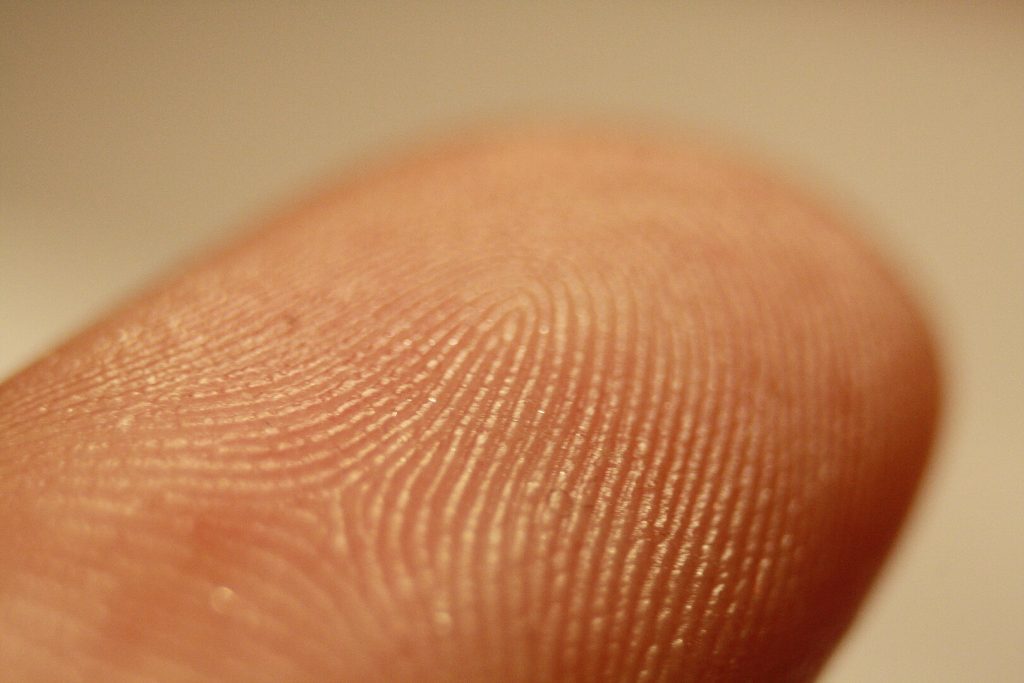 fingerprint