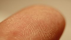 fingerprint