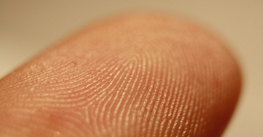 fingerprint