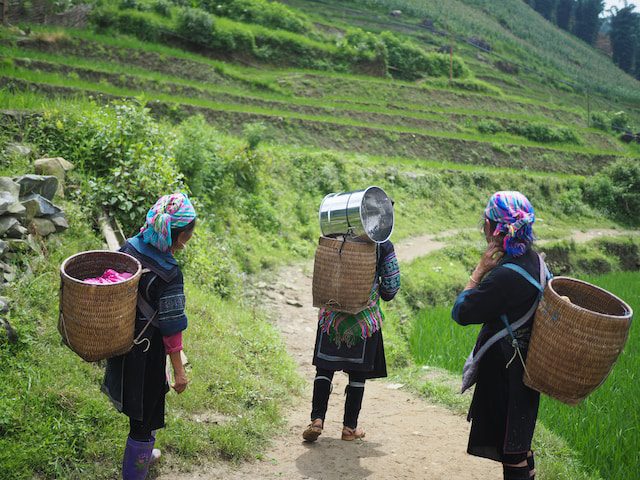 Indentured Labourers