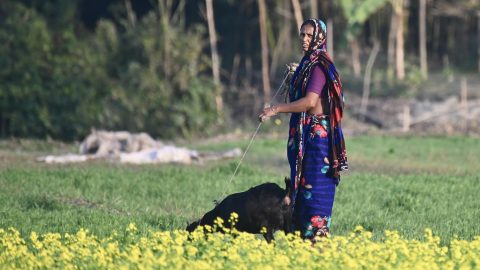 rural woman