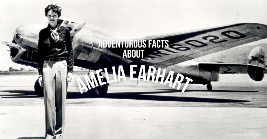 amelia earhart header